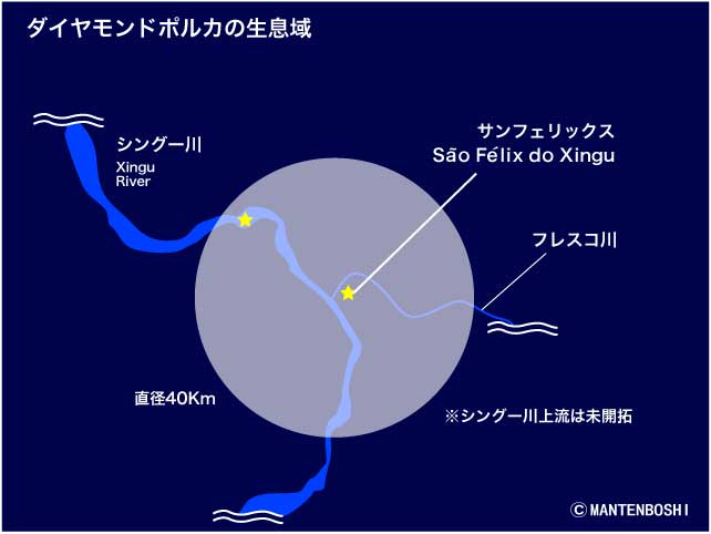 ダイヤモンドポルカ生息域