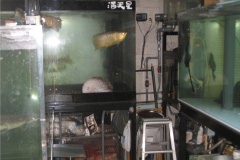 水槽写真2